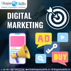 Best Institute of Digital Marketing Online Training at ShapeMySkills