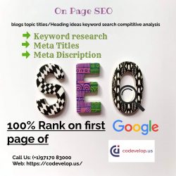 Best SEO expert