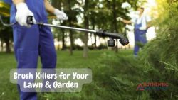 Top 5 Brush Killers for Your Lawn & Garden | AuthReviews