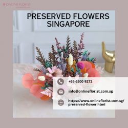 Buy Preserved Flowers Online in Singapore