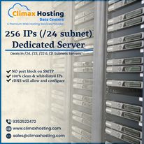 Buy Low Cost 256 IPs Dedicated Server