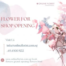 Choose the Elegant Flower for Shop Opening