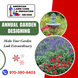 Colourful Annual Garden Bedding