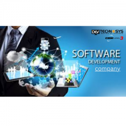 Software development company