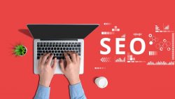 Google SEO Services Houston