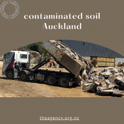 Health Risks and Environmental Effects of Contaminated Soil