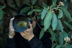 Enthüllen Sie Geheimnisse mit erfahrenen Detektive in der Schweiz