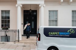 Carpet Cleaning Brighton