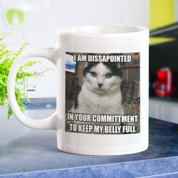 Disappointed Meme Mugs