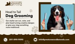 Enhance Your Pet Appearance