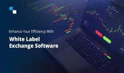 The Future of Entrepreneurship: White Label Crypto Exchange Software