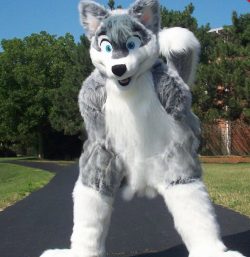 Furry Costume, Grey Furry Wolf cosplay $2,825.95