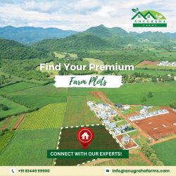 Anugraha Farms-Farm Plots near Bangalore: Embrace Nature’s Beauty