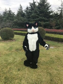 Furry Costume, Furry costume for Halloween cosplay $680.95