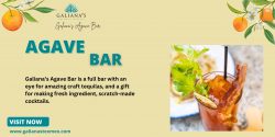 Agave Bar Houston – Unwind with Handcrafted Cocktails