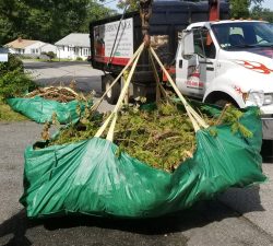 Green Bag Pickup