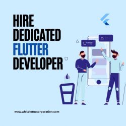 Hire Dedicated Flutter Developer