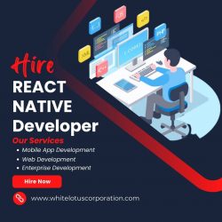 Hire React Native Developer