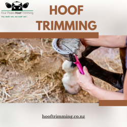 Maintain the Happiness and Health of Your Animals with Professional Hoof Trimming