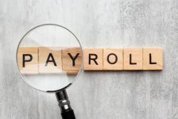 Streamline Your HR Processes With Our Top-Rated Payroll Software