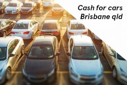 Don’t Let Your Old Car Collect Dust, exchange them for cash with us