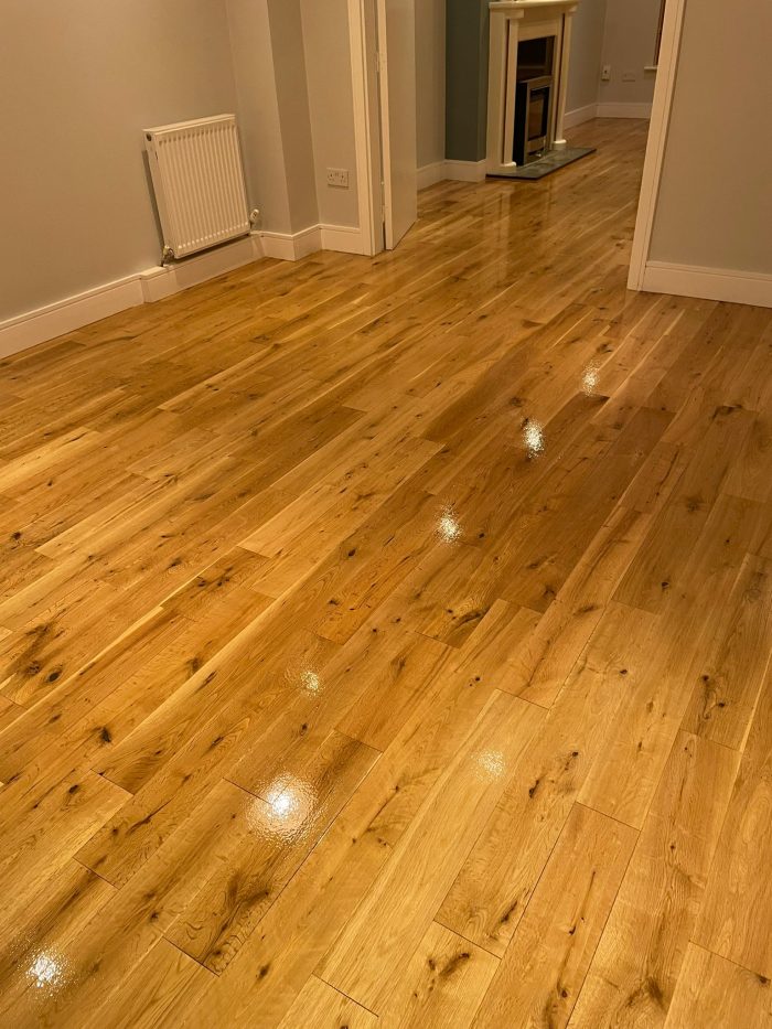 Floor Sanding Dundrum