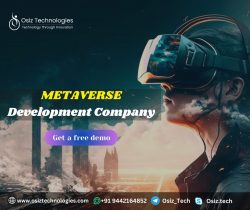 Metaverse Development Company