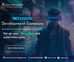 Metaverse Development Company