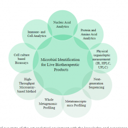 microbial fermentation