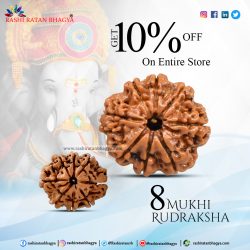 Rashi Ratan Bhagya Offer you 10 % Discount on 8 Mukhi Rudraksha Beads