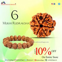 Get 10% off 6 Mukhi Rudraksha Online from Rashi Ratan Bhagya