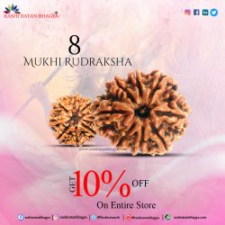 Buy Original 8 Mukhi Rudraksha in Shravan Maas and get 10% off