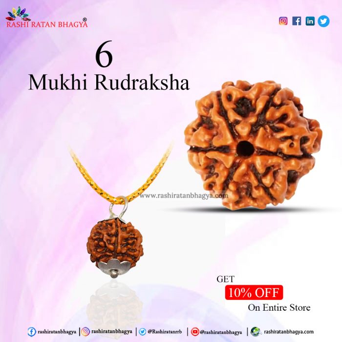 Get 10% off 6 Mukhi Rudraksha Online from Rashi Ratan Bhagya