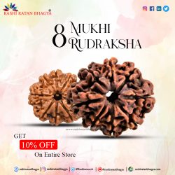 Shravan mah sale get 10% discount on entire 8 Mukhi Rudraksha Beads