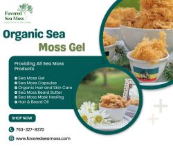 Nourish Naturally with Favored Sea Moss Gel – Your Organic Superfood