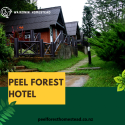 Factors to Take into Account When Selecting a Hotel in Peel Forest