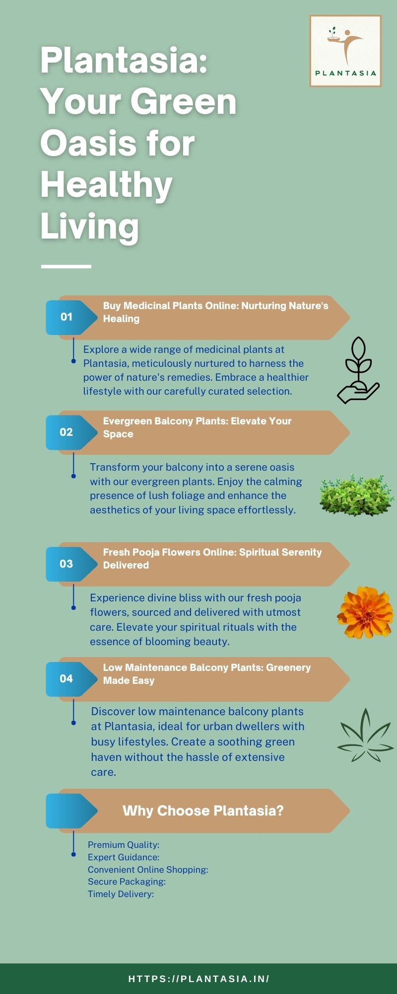 Plantasia: Your Green Oasis for Healthy Living