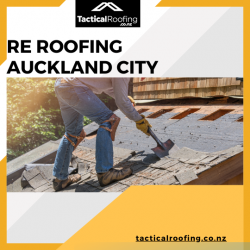 Improve the Security of Your Home with Professional Re-Roofing Services