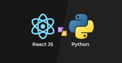 Difference Between React JS And Python