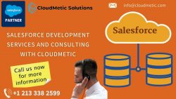 Salesforce development service