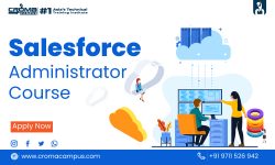 Difference Between Salesforce Administrator And Salesforce Consultant