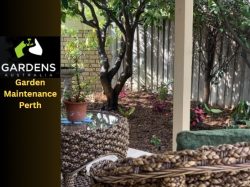 Look For The Best Garden Maintenance In Perth