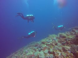 Scuba Diving Classes NJ USA