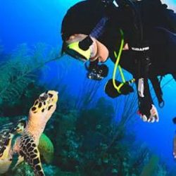 Scuba Diving Lessons NJ