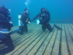 Scuba Diving Lessons NJ USA