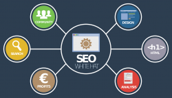 Best Search Engine Optimization Bali