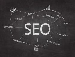 SEO Services in Texas