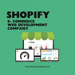 Shopify Ecommerce Web Development Company