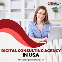 Strategic Growth Unleashed: Elevate Your Business with Expert Digital Consulting Agency in USA