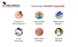 Summer Health Hazards